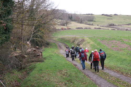 04.01.2023.Rando autour d'Issoire .10 kms 