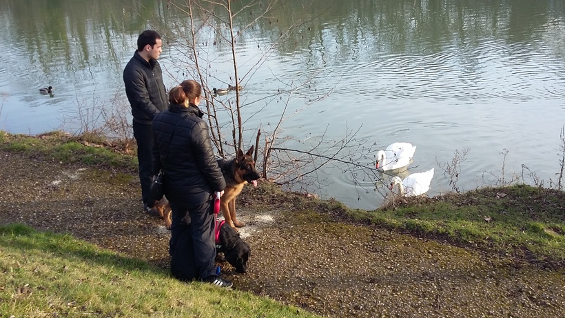 balade du dimanche sur les bords de marne 