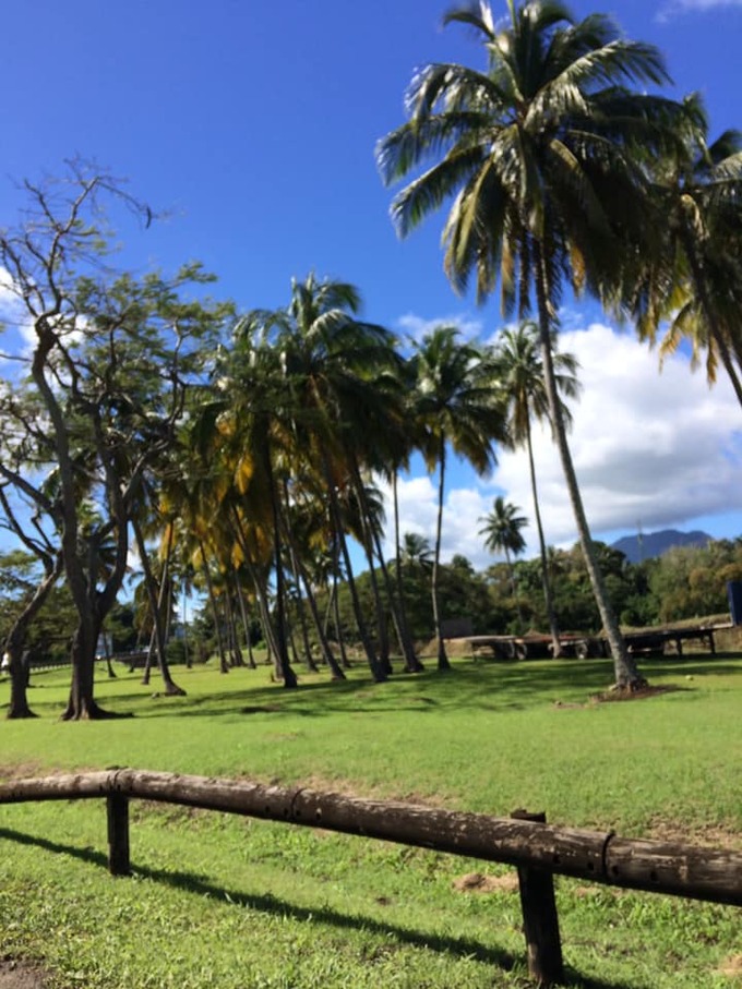 Janvier en Guadeloupe.