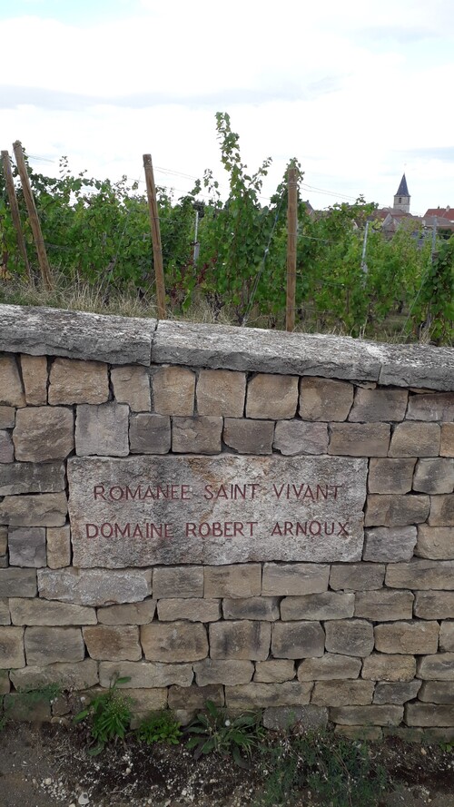 "Les Grands Vins de Bourgogne 1" - Dimanche 06 septembre 2020