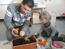 Le papa d'Eglantine nous a apporté des plantes!