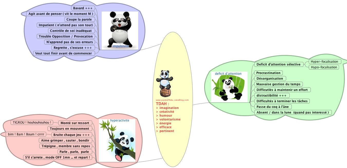 TDAH - les Pandas du Finistere