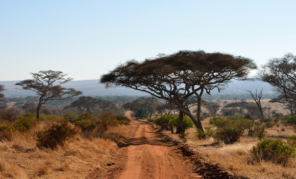 Tarangire National Park