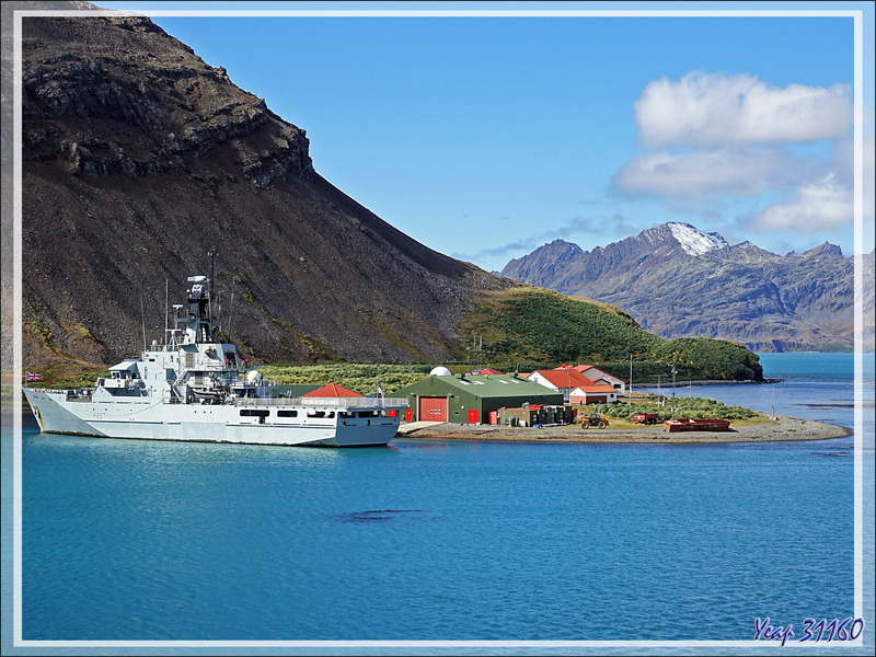 Panorama sur la base militaro-scientifique de King Edward Point et la Cumberland East Bay - Grytviken - Géorgie du Sud