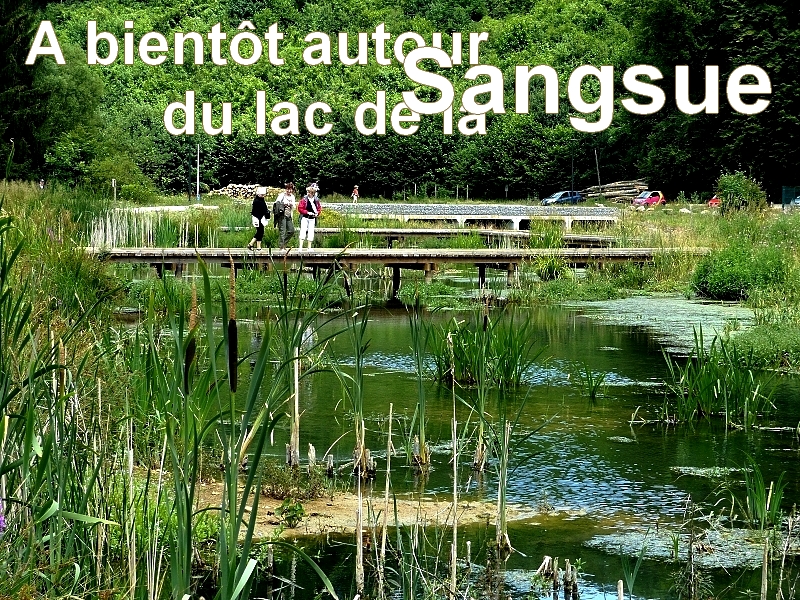 Notre promenade à Briey en Meurthe-et-Moselle 1 / ...