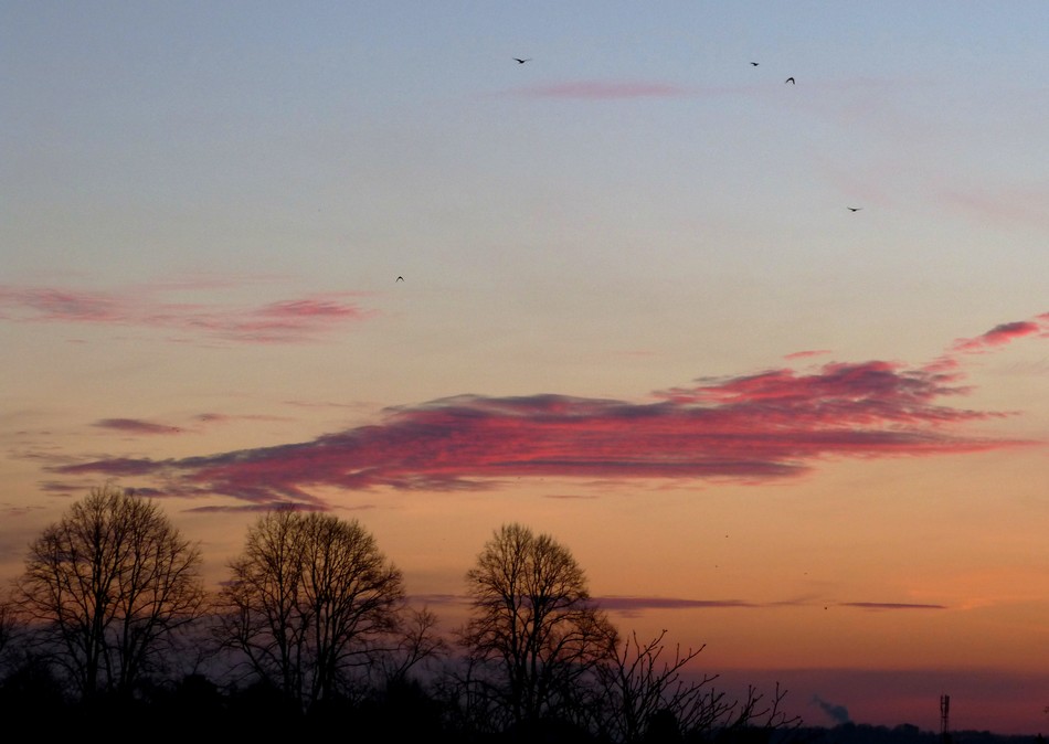 Un matin de décembre