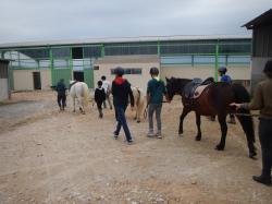 journée au poney club