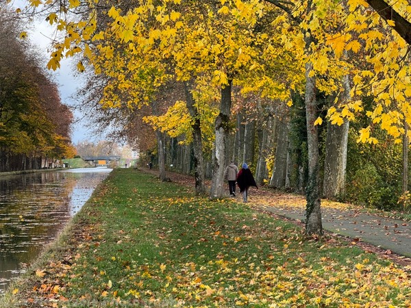 Le Canal Latéral de la Loire en automne 