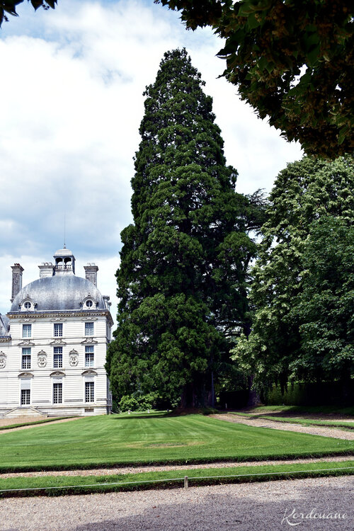Photos façade arrière du château de Cheverny