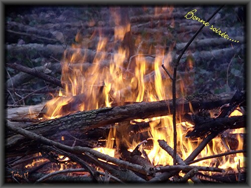 Retour de l'hiver....un petit feu de bois  ?