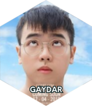 Gaydar