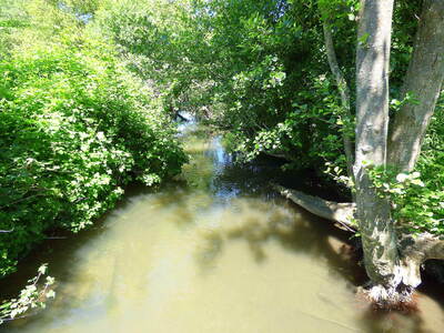 Entre la Touques et le Chaussey