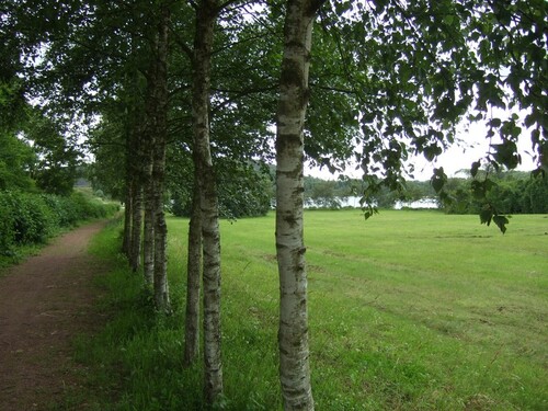 Balade du 5 juillet- Etang de pêche de Harnes