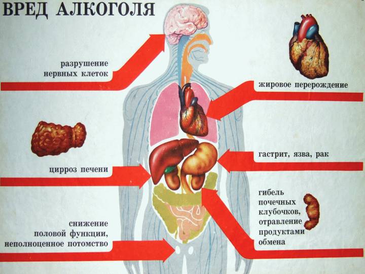 Последствия алкоголизма для внутренних органов