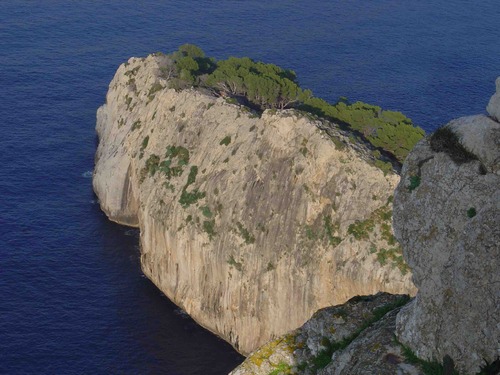 —- 2005 octobre à Punta Nau_  Forment _ Mallorca - image protégée —-