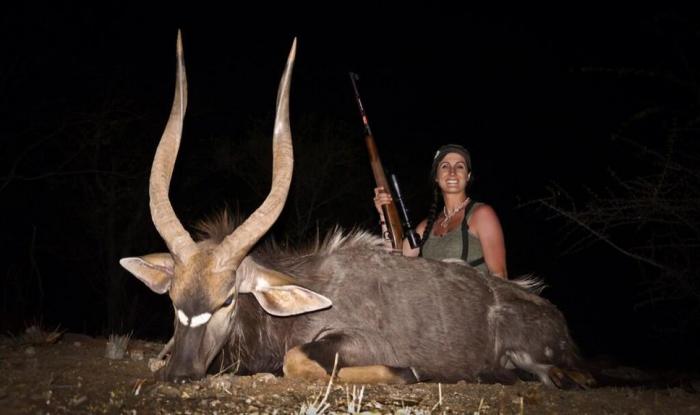 USA : Une chasseuse de lion dans la ligne de mire des internautes