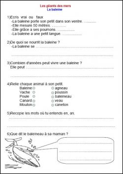 lecture de textes et questionnaire