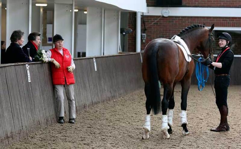 Addington Equestrian Centre