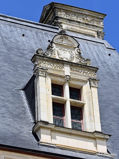 Photos des toits du château de Valençay (Indre)