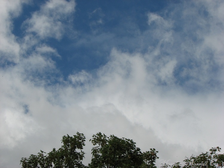 Ciel d’Alsace 470