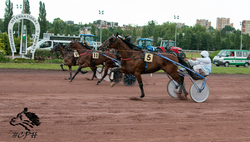 PRIX UNORA DU PAS