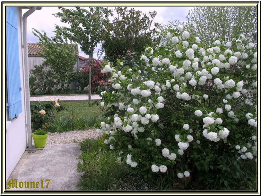 Un petit tour au jardin 