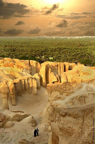 L'oasis, un paradis hors du temps ... 