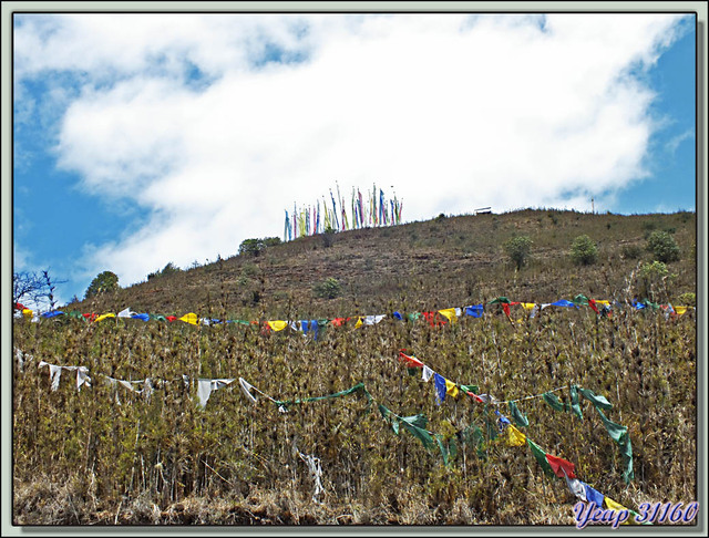 Blog de images-du-pays-des-ours : Images du Pays des Ours (et d'ailleurs ...), Bambous nains et drapeaux de prières - Col Péléla (Pelela Pass), 3350 m - Bhoutan