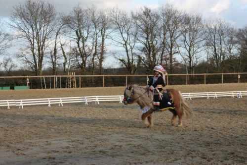 Les Miaos (carrousel shetland 2012) concours de Palluau