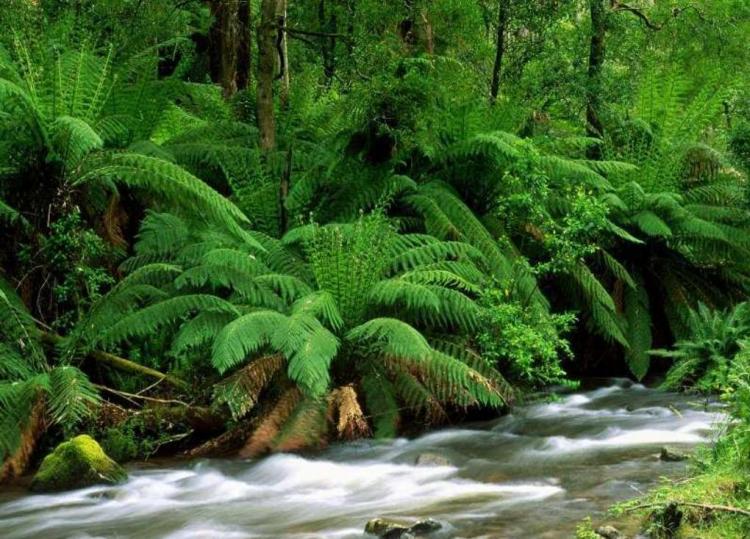 Images du monde : Australie continent vert 