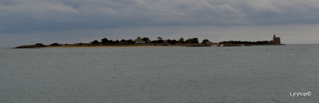 De Barfleur à Saint Vaast La Hougue