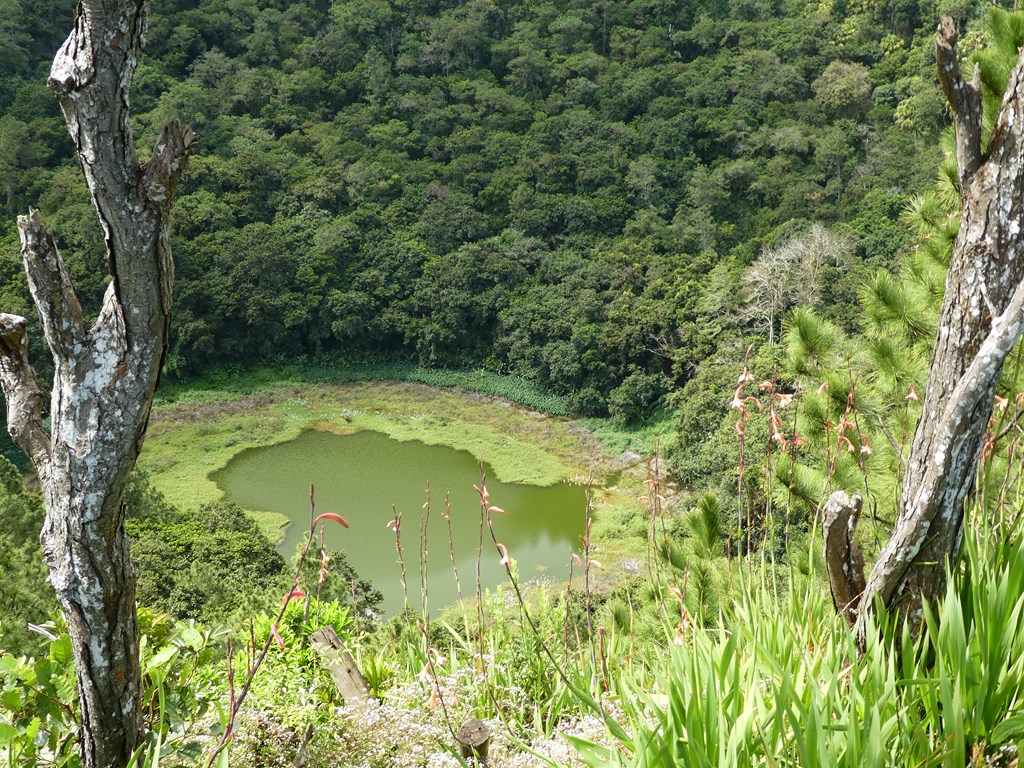 ILE MAURICE - LE CRATERE 