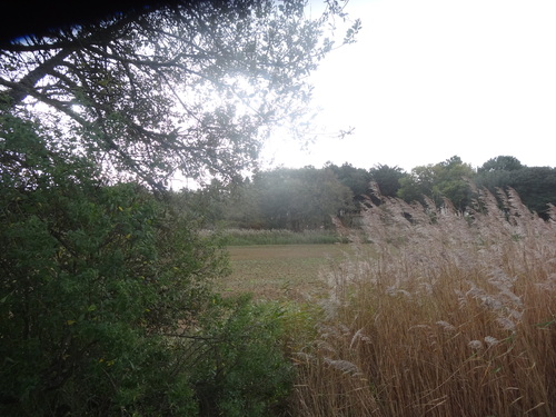 Le moulin de Brandu