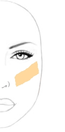 Géométrie du visage #2: Les zones importantes