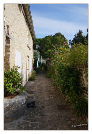 Île de Ré