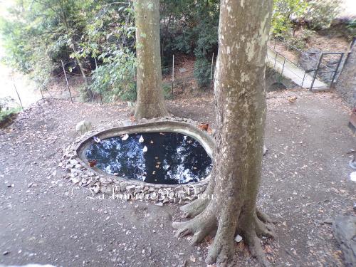 Collioure, l'ermitage Notre-Dame de Consolation