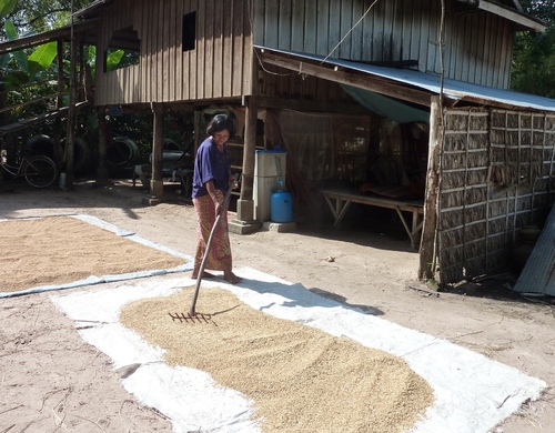 Odong Rossey, village de potiers au Cambodge