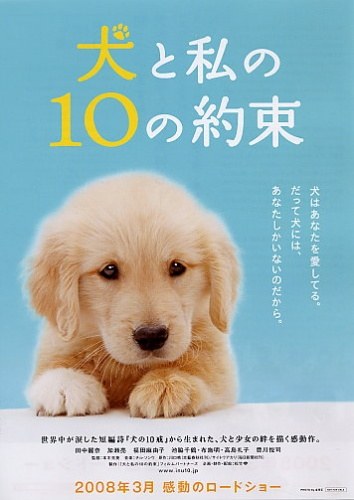 ♦ 10 Promises To My Dog ♦