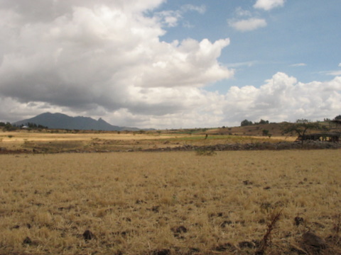 sur la route de Debre Zeit