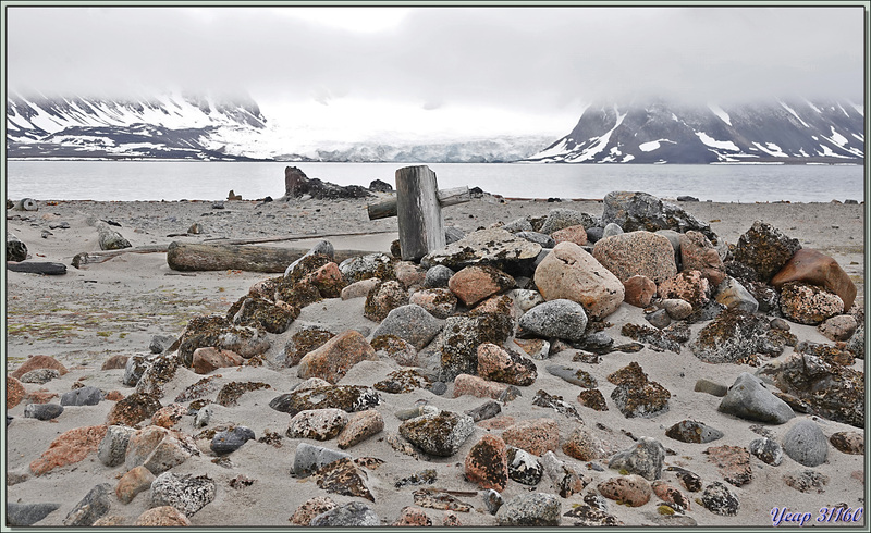 Toujours à l'ancienne station baleinière de Smeerenburg - Ile Amsterdamøya - Svalbard - Norvège