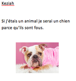 Si j'étais un animal