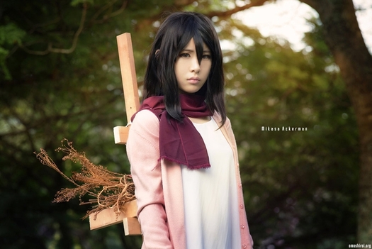 Cosplay SNK