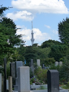 SkyTree vu du cimetière de Yanaka