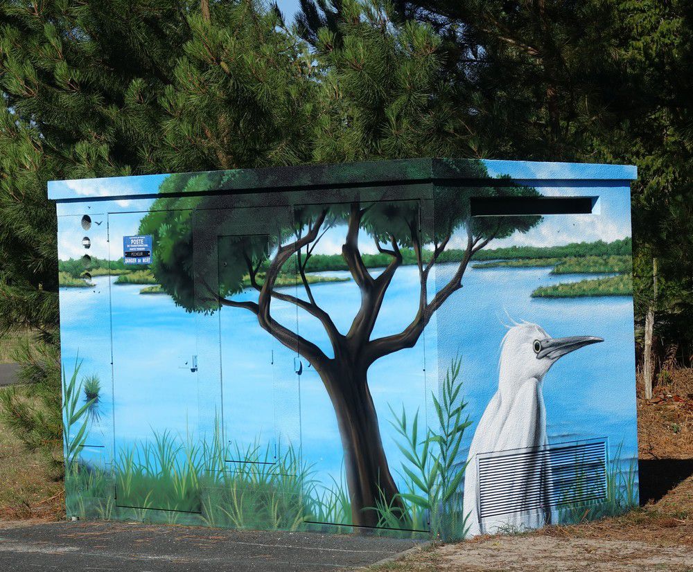 Street-art dans la ville : la réserve des Prés Salés, aigrette et héron...