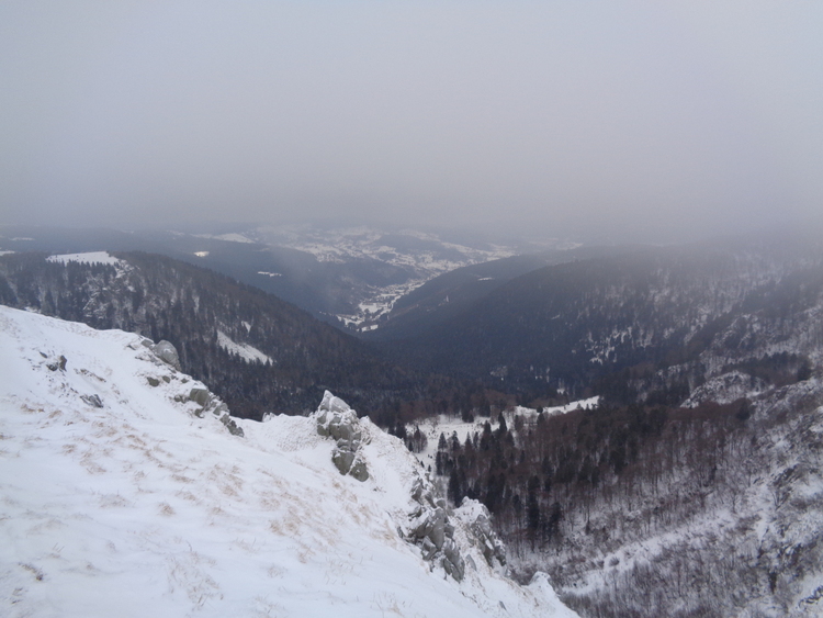 Vosges- like some snow (with marble eyes)
