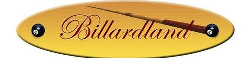 E-commerce : Billardland cède à la tentation de rejoindre le Net