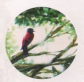 Oiseaux sur la Branche -copie-1