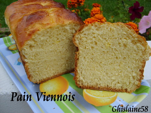 Pain Viennois (moule cake)