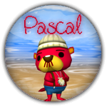 Pascal pin's tout sur animal crossing