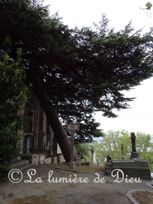 Le Havre, abbaye de Graville